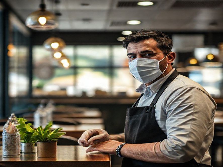 Controle de pragas no restaurante: prevenção e cuidados